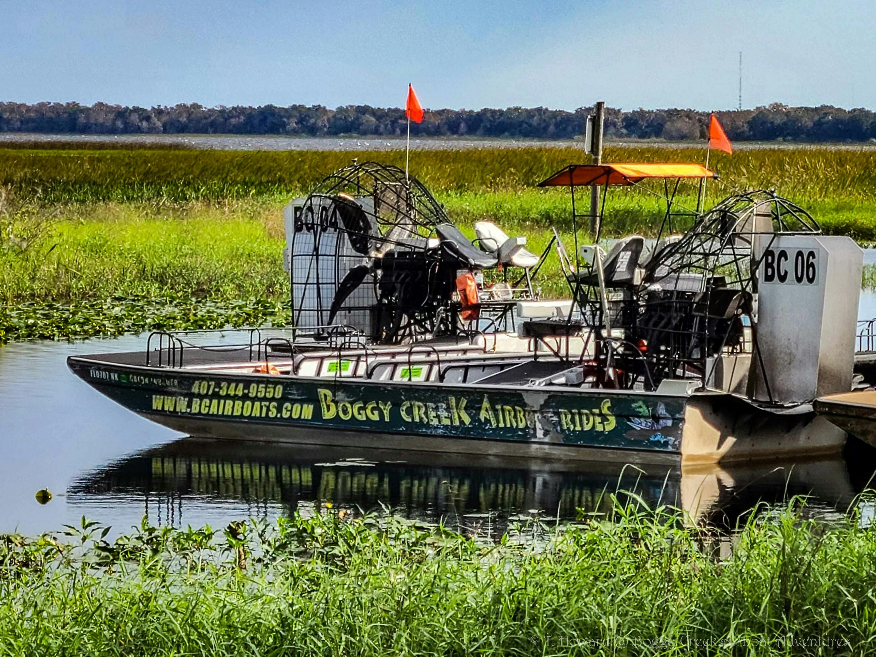 Kissimmee: 1-Hr Boggy Creek Everglades Airboat Tour - Photo 1 of 21